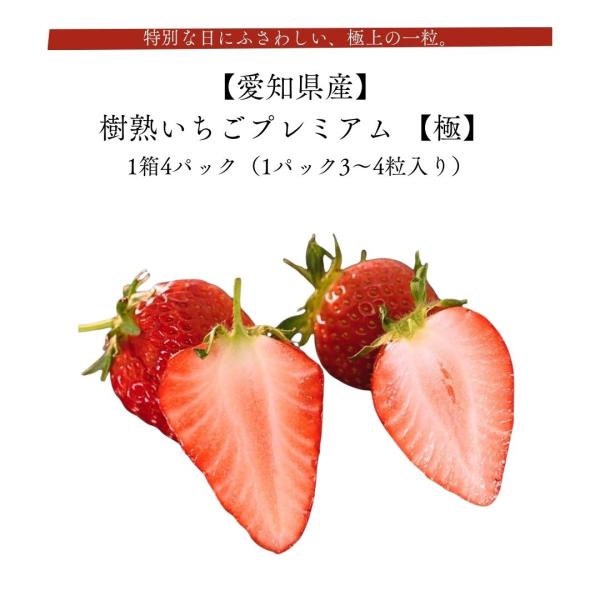 一粒で伝わる、“極”という名の理由樹で完熟させたからこそ生まれる、濃厚な甘みと芳醇な香り。「樹熟いちごプレミアム『極』」は、苺の概念を変える特別な一粒です。特別な日、大切な人、そして自分自身のために。ぜひ一度、“極”の味わいを体験してくださ...