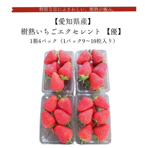 “特別”を贈るなら、樹熟いちご『優』樹で完熟させたからこそ生まれる、濃厚な甘みと芳醇な香り。樹熟いちごエクセレント『優』は、日常では味わえない、本物の完熟いちご。自分へのご褒美にも、大切な方への贈り物にも、記憶に残る一箱です。内容量：樹熟い...