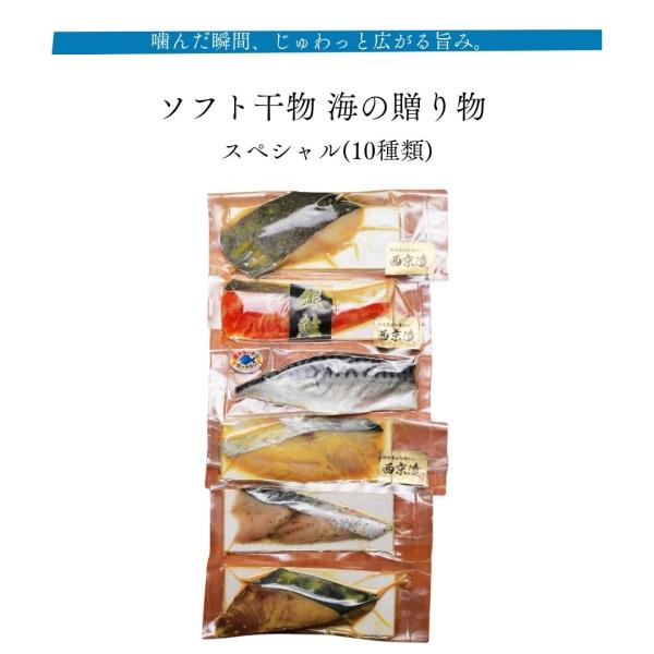 ソフト干物 海の贈り物 スペシャル(10種類) 産地直送 お取り寄せ 旬 晩酌 おつまみ お歳暮 お中元  贈答 海鮮