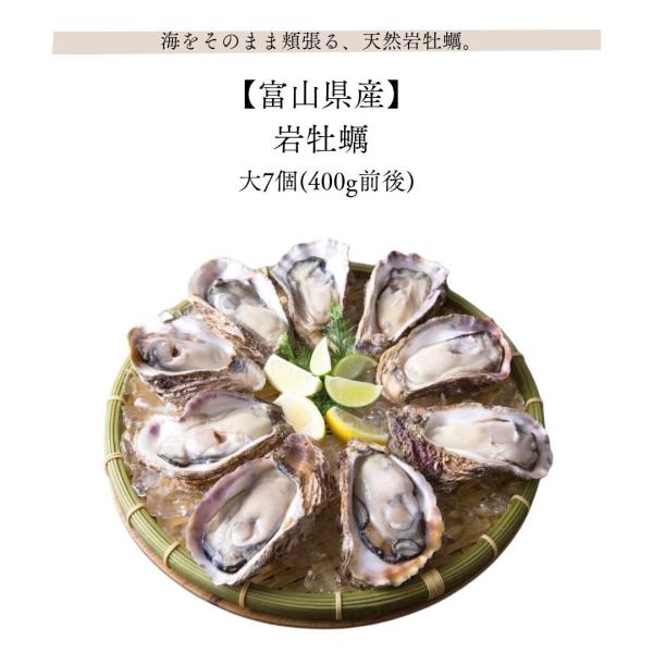 岩牡蠣 大7個 400g前後 富山県産 産地直送 国産 天然 生食 蒸し牡蠣 漁師直送 お取り寄せ グルメ 贈答 新鮮