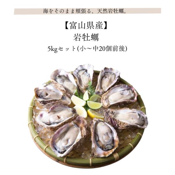 岩牡蠣 5kgセット 小〜中20個前後 富山県産 産地直送 国産 天然 生食 蒸し牡蠣 漁師直送 お取り寄せ グルメ