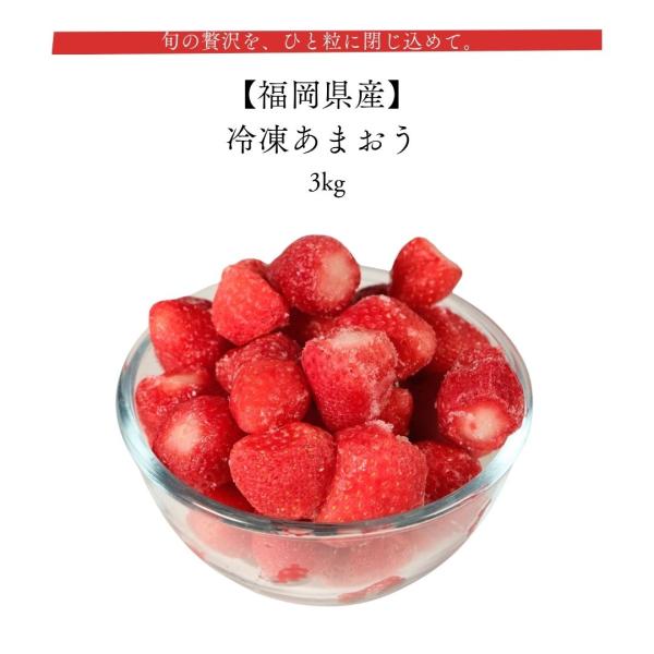 冷凍あまおう 3kg 福岡県産 産地直送 国産 フルーツ スムージー トッピング デザート ギフト 製菓材料 贈答