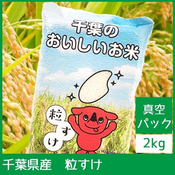 新米 令和4年度産 千葉県産 粒すけ 30kg ×2袋