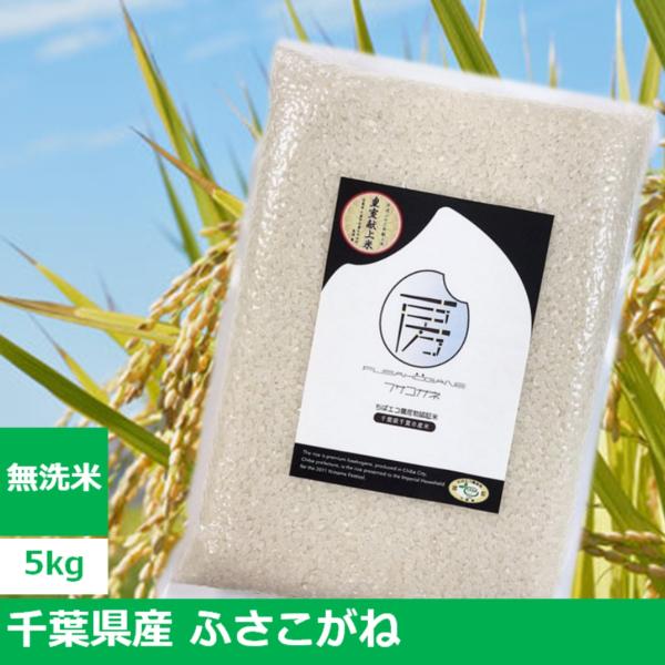 2025年産（令和7年産）千葉県産 ふさこがね 5kg【無洗米5kg×1袋】 : 食