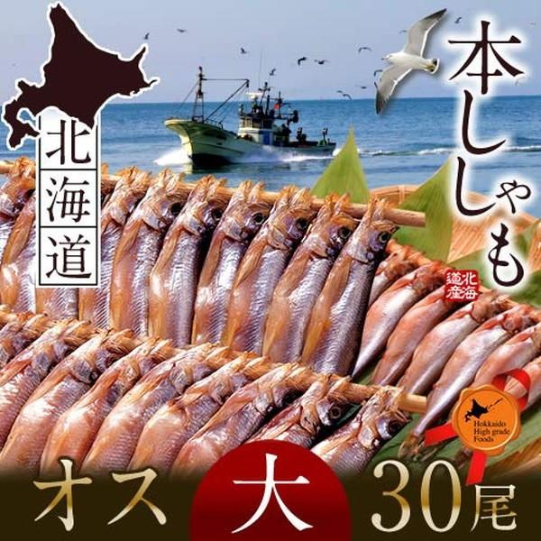 シシャモ オス 大 30尾 本ししゃも生干し 干物 北海道産 鵡川産 むかわ産 厚賀産 白糠産等 人気 通販 ギフト 父の日 ギフト 1 Shishamo L 食紀行 Japanfood 通販 Yahoo ショッピング