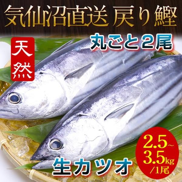 気仙沼漁港 生かつお 約2 5 3 5kg 2尾 一本鰹 産地直送 戻り鰹 三陸の魚 Supersport Tn