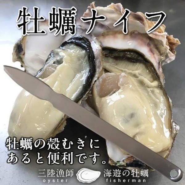 牡蠣ナイフ 1本 殻付きカキの殻むき専用 簡易ナイフ ヘラ バーベキュー 御歳暮 ギフト 16 Kakiknife 食紀行 Japanfood 通販 Yahoo ショッピング