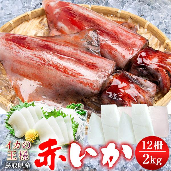 いか 赤イカ 約2kg 4p計12柵 肉厚 ソデイカ タルイカ 鳥取県産 烏賊 天ぷら 日本海 山陰沖 刺身 イカ いか刺 いか焼き 送料無料 お中元 ギフト 39 Akaika2 食紀行 Japanfood 通販 Yahoo ショッピング