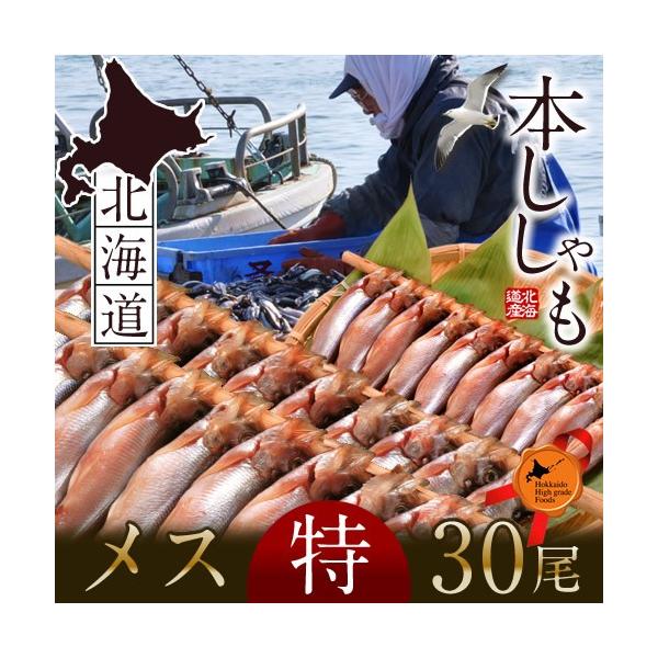 ししゃも 北海道産 シシャモ メス 特 30尾 子持ちししゃも 生干し 干物 鵡川工場 むかわ Www Legheleggere Com