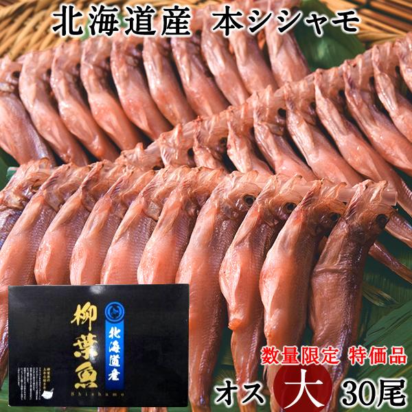 シシャモ オス 大 30尾 斉藤水産 本ししゃも生干し 干物 青空レストラン 北海道産 鵡川産 むかわ産 日高産等 お歳暮 ギフト セール 1 Shishamo Sp 食コレ Japan Food 通販 Yahoo ショッピング
