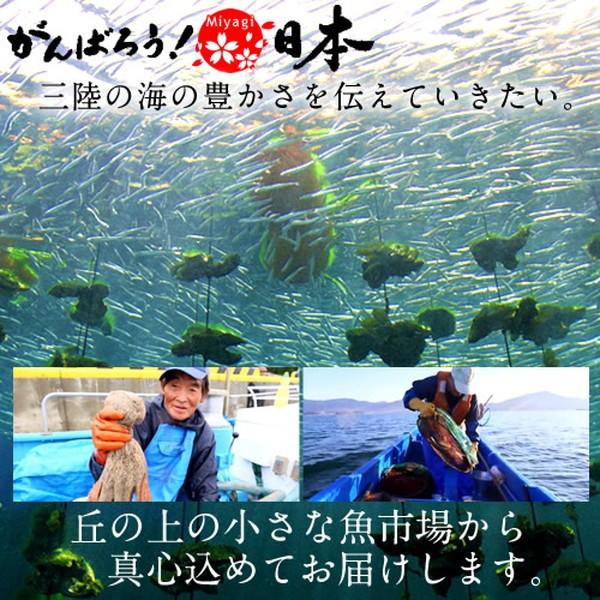 活魚 気仙沼 鮮魚 アイナメ［1kg前後］2尾 三陸宮城県産 唐桑半島 漁師 