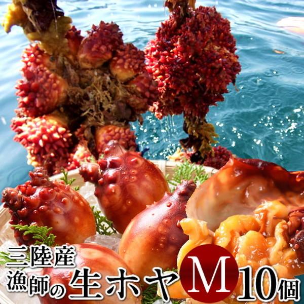 ほや 活ホヤ 中 10個 殻付き生ホヤ 朝どり漁師直送 三陸宮城県産 石巻 活き 天然ほや お歳暮 ギフト 16 Hoya M10 食コレ Japan Food 通販 Yahoo ショッピング