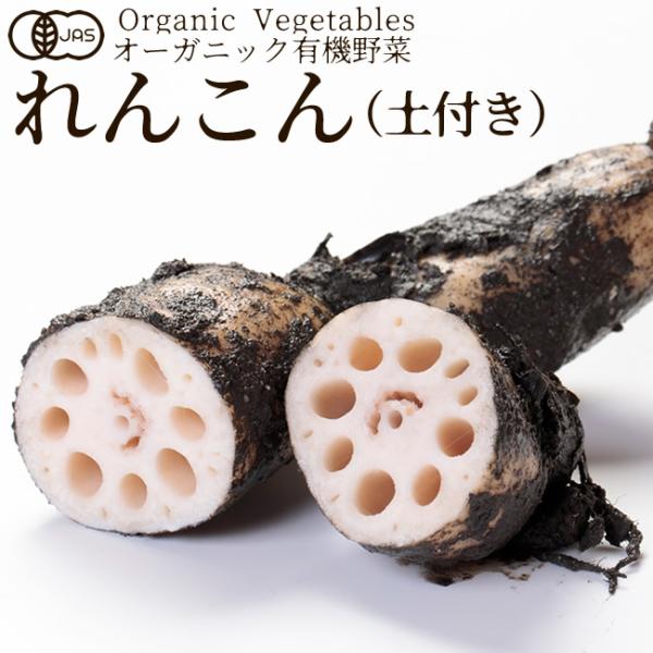 私たちは生産から消費に至るまでに関わる全ての人々が笑顔になるために農産物を通して「ご縁と感謝」をコンセプトとしております。北海道から九州まで、全国約40か所の有機生産者と契約し、日本の中心部に位置する愛知県配送センターに集荷、仕分けから梱包...