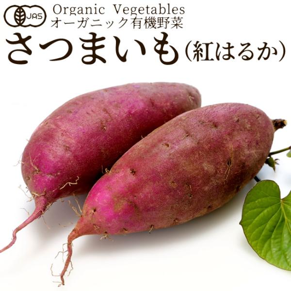 私たちは生産から消費に至るまでに関わる全ての人々が笑顔になるために農産物を通して「ご縁と感謝」をコンセプトとしております。北海道から九州まで、全国約40か所の有機生産者と契約し、日本の中心部に位置する愛知県配送センターに集荷、仕分けから梱包...