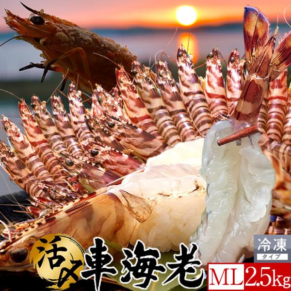 shokukore_30-ebi-ice2500