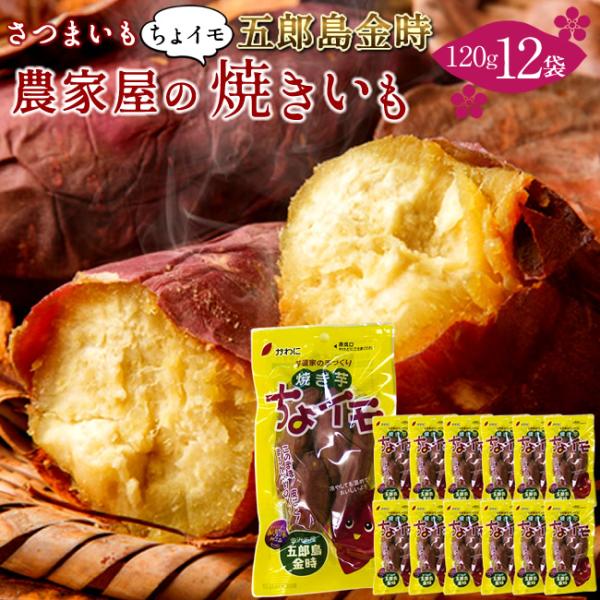 ちょっとだけ、ちっちゃなコロコロのやきいも焼き芋 ちょイモ 五郎島金時【D】セット■名称: 五郎島金時焼き芋(五郎島金時100%使用)■内容量: 焼き芋 ちょイモ（1袋120g入）×12袋セット※季節限定での販売となります。※賞味期限: 製...