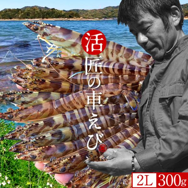 匠の車えび 車海老養殖発祥の地「熊本県 天草特産品」あまくさブランド養殖場直送上天草で優良生産者として知られている車海老養殖場（丸山えび）は、当時車海老ウィルスの流行から養殖方法を改革しようと決意し、毎日研究を積み重ね、試行錯誤の上、大切に...
