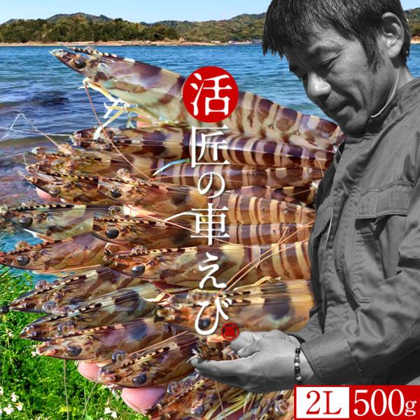 匠の車えび 車海老養殖発祥の地「熊本県 天草特産品」あまくさブランド養殖場直送上天草で優良生産者として知られている車海老養殖場（丸山えび）は、当時車海老ウィルスの流行から養殖方法を改革しようと決意し、毎日研究を積み重ね、試行錯誤の上、大切に...