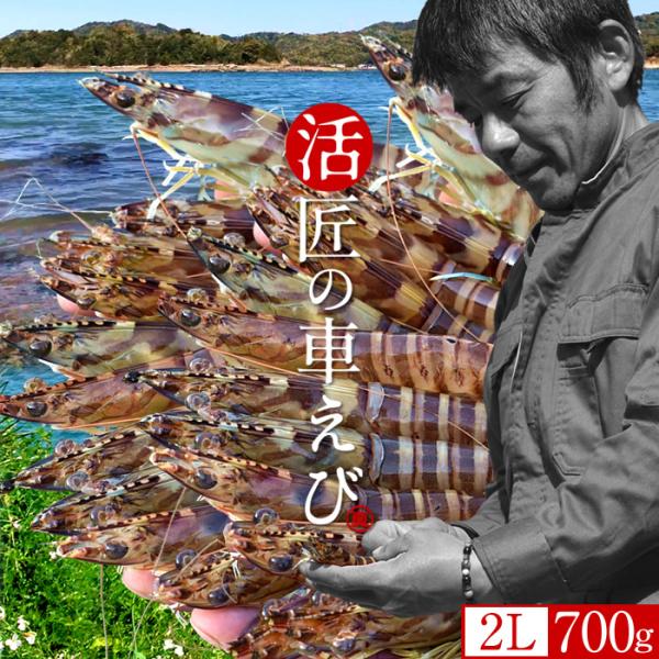 匠の車えび 車海老養殖発祥の地「熊本県 天草特産品」あまくさブランド養殖場直送上天草で優良生産者として知られている車海老養殖場（丸山えび）は、当時車海老ウィルスの流行から養殖方法を改革しようと決意し、毎日研究を積み重ね、試行錯誤の上、大切に...