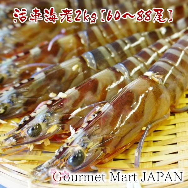 車海老 刺身 熊本県 天草産 活車海老2kg 60 尾 中サイズ フジオカ 養殖 活き 車エビ Fujioka013 グルメマートjapan 通販 Yahoo ショッピング