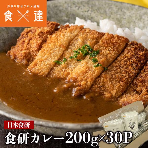 カレー レトルト 食研カレー 200g×30袋 30人前 中辛 箱売り ビーフカレー 湯煎 日本食研 業務用 常温便 お取り寄せグルメ
