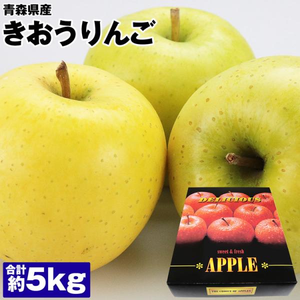青森県産 りんご - 食品の人気商品・通販・価格比較 - 価格.com