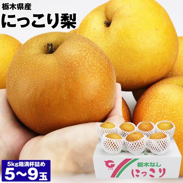 梨 にっこり 超大玉 栃木県産 秀 5〜8玉 1玉約600g程度 5kg箱満杯詰め なし ナシ フルーツ 果物 旬 常温便 同梱不可 指定日不可 :kdm-178:食の達人 お取り寄せグルメ - 通販 - Yahoo!ショッピング 梨 にっこり 超大玉 栃木県産 秀 5〜8玉 1玉約600g程度 5kg箱満杯詰め なし ナシ フルーツ 果物 旬 常温便 同梱不可 指定日不可 :kdm-178:食の達人 お取り寄せグルメ - 通販 - Yahoo!ショッピング