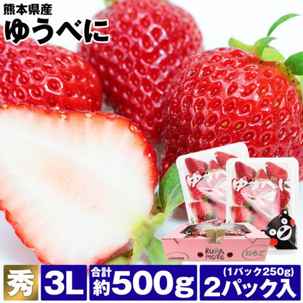 ゆうべに いちご 熊本県産 2パック 約500g (1パック約250g×2) 秀品 3Lサイズ イチゴ 苺 冷蔵便 同梱不可 指定日不可