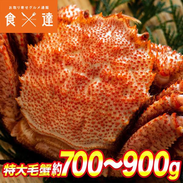 毛ガニの通販・価格比較 - 価格.com 毛ガニの通販・価格比較 - 価格.com