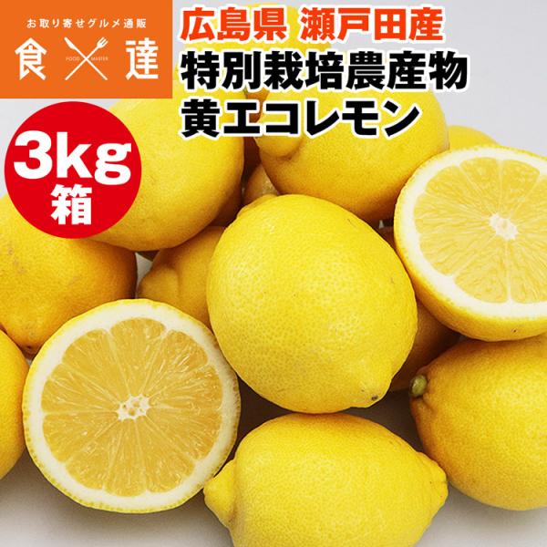 エコレモン 3kg箱詰め 広島県 瀬戸田産 レモン イエロー 特別栽培農産物 減農薬 減化学肥料 同梱不可 指定日不可