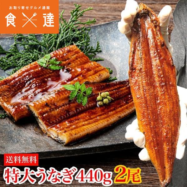 冷凍 うなぎ - 食品の人気商品・通販・価格比較 - 価格.com 冷凍 うなぎ - 食品の人気商品・通販・価格比較 - 価格.com