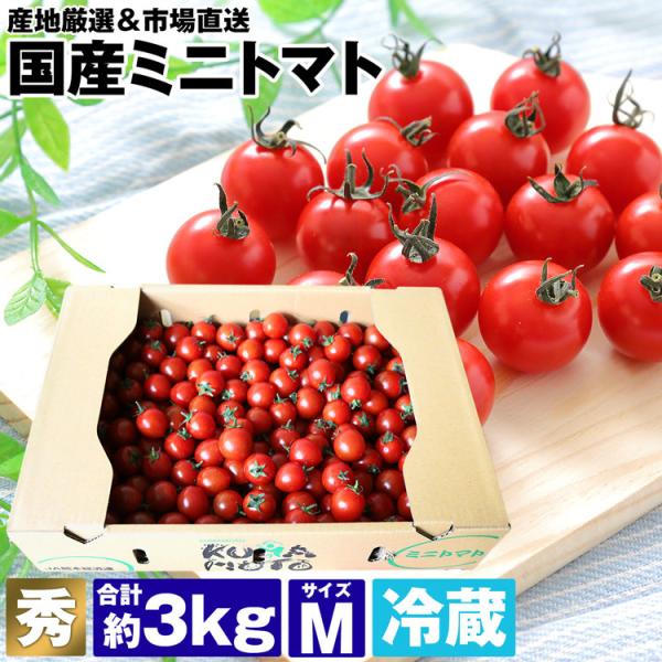 プチトマト - トマトの人気商品・通販・価格比較 - 価格.com