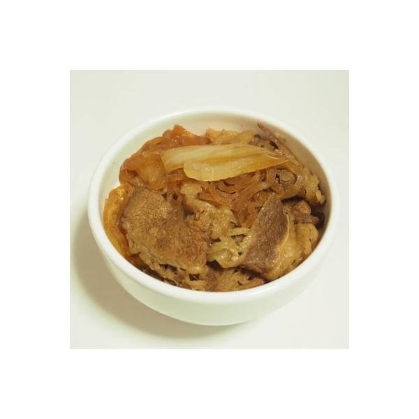 日東ベスト  新牛丼の素DX 185g×20パック×１箱 冷凍 業務用◇JG【お取り寄せ品】関東近県送料無料