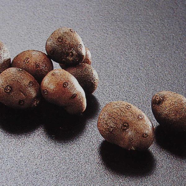 むかごは隠れた栄養食です冷凍なので使いたい時に使いたい量をご利用いただけます炊き込みご飯、炒める、揚げる・・・等々工夫次第で様々なお料理にお使いいただけます原産国：中国