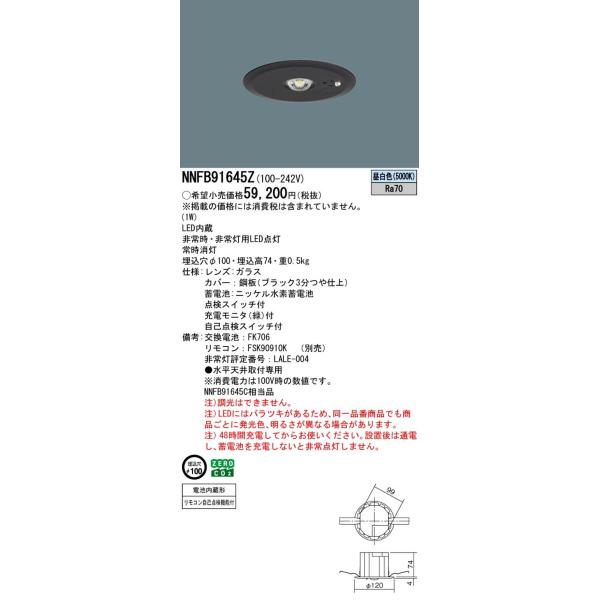 NNFB91645Z �p�i�\�j�b�N ��퓔 �����^ �����F 5000K ��V��p �`3m 30���ԃ^�C�v ���i�摜1