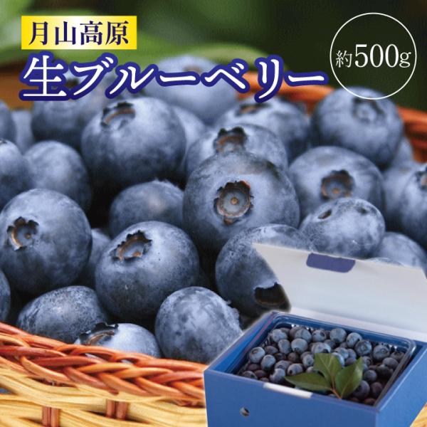生ブルーベリー 約500g/山形県羽黒産 月山高原　無農薬・有機栽培 お中元 特産品 鈴木農園