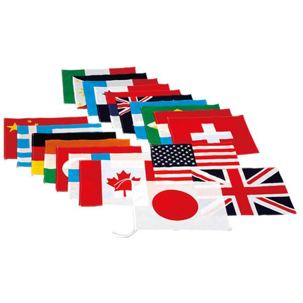 エバニュー メンズ レディース 万国旗20 競技 体育用品 学校 20ヵ国セット 運動 スポーツ EKA381