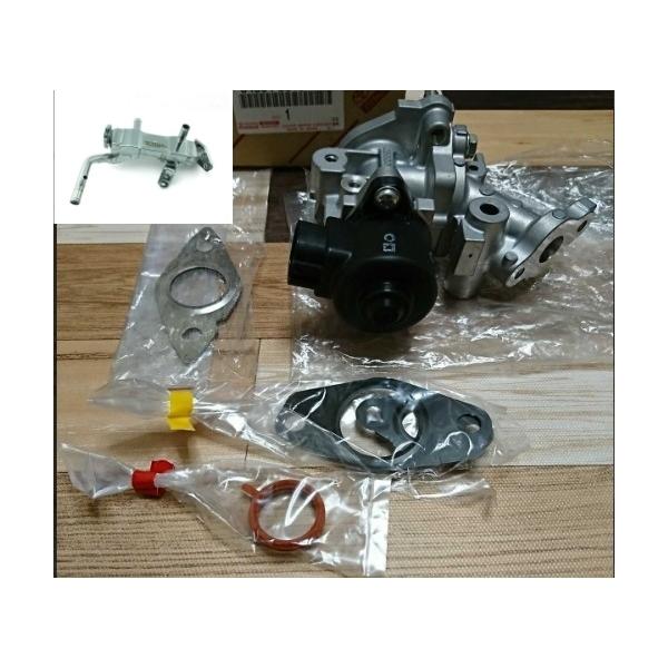 shop-1000g_001409