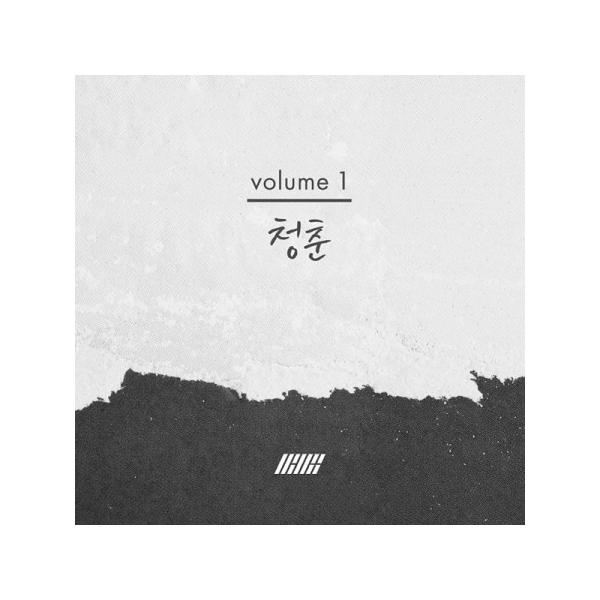 【PHOTOBOOK：KIM DONG HYUK 】IKON YOUTH PHOTOBOOK VOL.1 アイコン 青春 VOL.1 - キムドンヒョク【レビューで生写真5枚|宅配便】