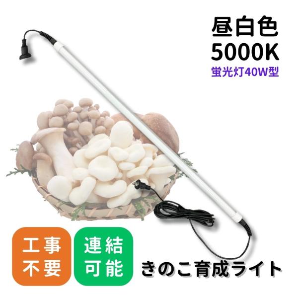 商品番号 FLX-22W-5K-Kサイズ 1200×Φ34mmコンセント長さ 5mコンセント長さ 200mm重量 本体490g+5mコード400g=890gフリッカーなし（汎用カメラ確認済）／フリッカーフリー仕様色温度 白色5000K電圧 ...