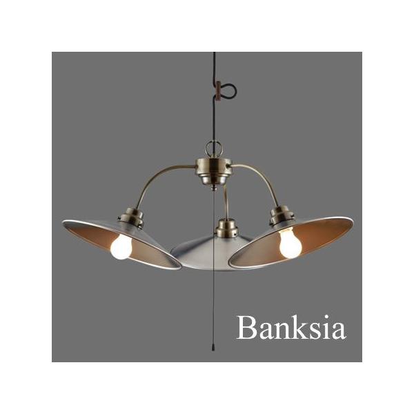 y_gCg 3 㓡Ɩ |Cgp g AeB[N { Banksia oNVA GLF-3406