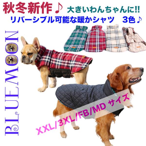 shop-bluemoon_201215966-2