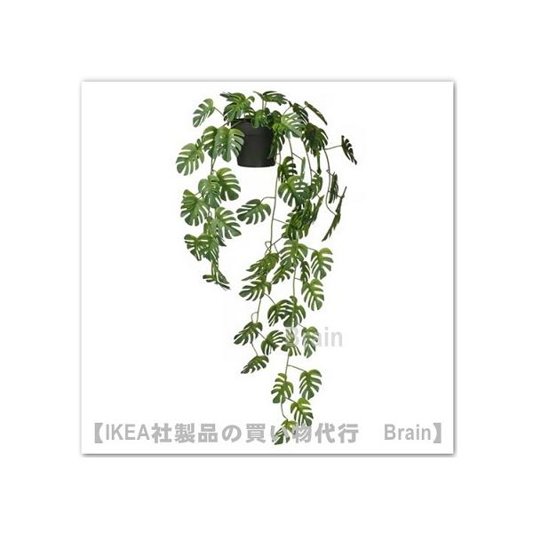 ＩＫＥＡ/イケア　FEJKA/フェイカ　人工観葉植物/つり下げ型63 cm　モンステラ(006.084.04/00608404)