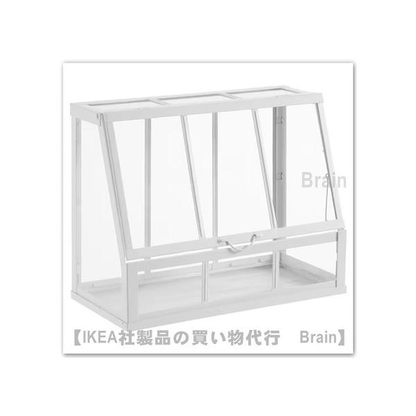 shop-brain_10537171 shop-brain_10537171