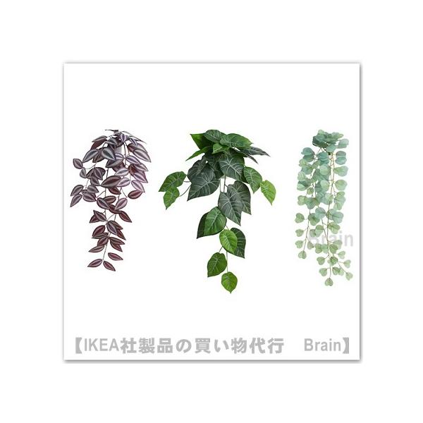 イケア（IKEA） FEJKA/フェイカ 人工観葉植物/ウォールホルダー付き 3