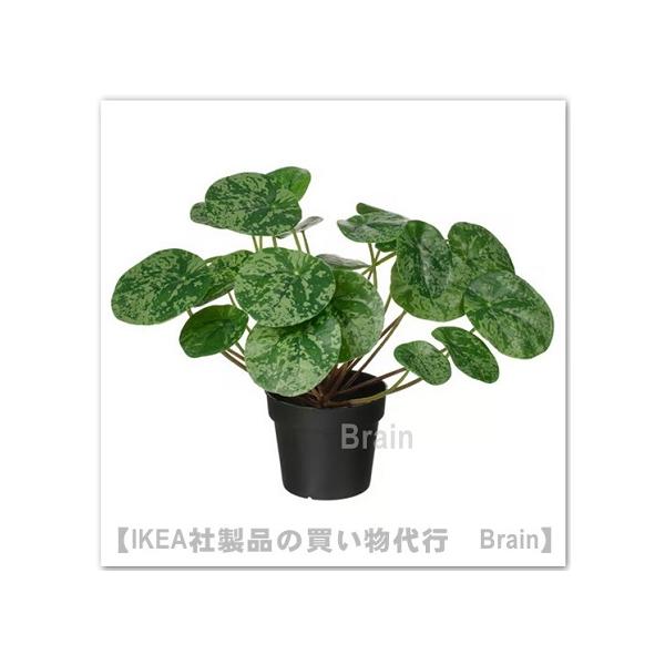 ■人工観葉植物（フェイクグリーン）です。■商品の大きさ長さ: 24 cm植木鉢の直径: 9 cm■商品の特徴- まるで本物のような美しさが続きます- 本物の観葉植物は置けないけれど、お部屋にグリーンを取り入れたい人にぴったり■パッケージの大...