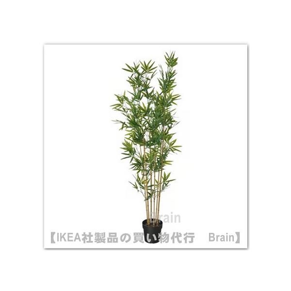IKEA 人工観葉植物 フェイクグリーン 竹 笹 七夕飾り IKEA 180㎝ イケア（IKEA） FEJKA/フェイカ 人工観葉植物180cm 竹(206.106.08