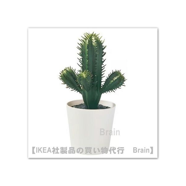 ■人工観葉植物（フェイクグリーン）です。■商品の大きさ高さ: 14 cm植木鉢の直径: 6 cm■商品の特徴- まるで本物のような美しさが続きます- 本物の観葉植物は置けないけれど、お部屋にグリーンを取り入れたい人にぴったり■パッケージの大...