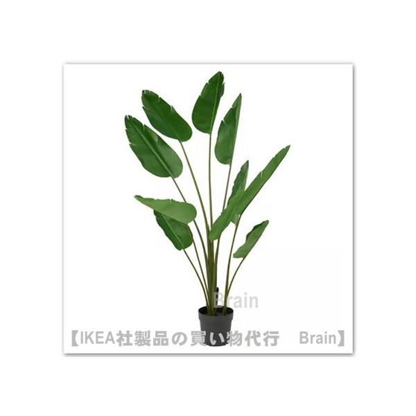 イケア（IKEA） FEJKA/フェイカ 人工観葉植物180cm ゴクラクチョウカ