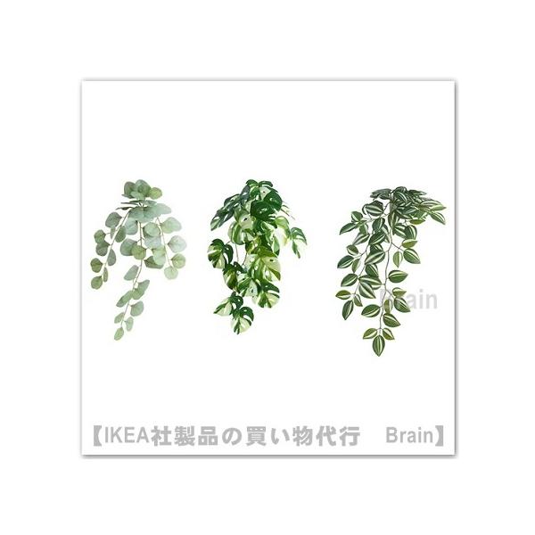 イケア（IKEA） FEJKA/フェイカ 人工観葉植物/ウォールホルダー付き 3